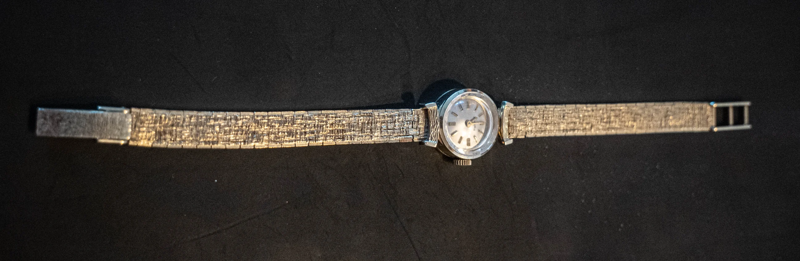 P1099778.jpg
