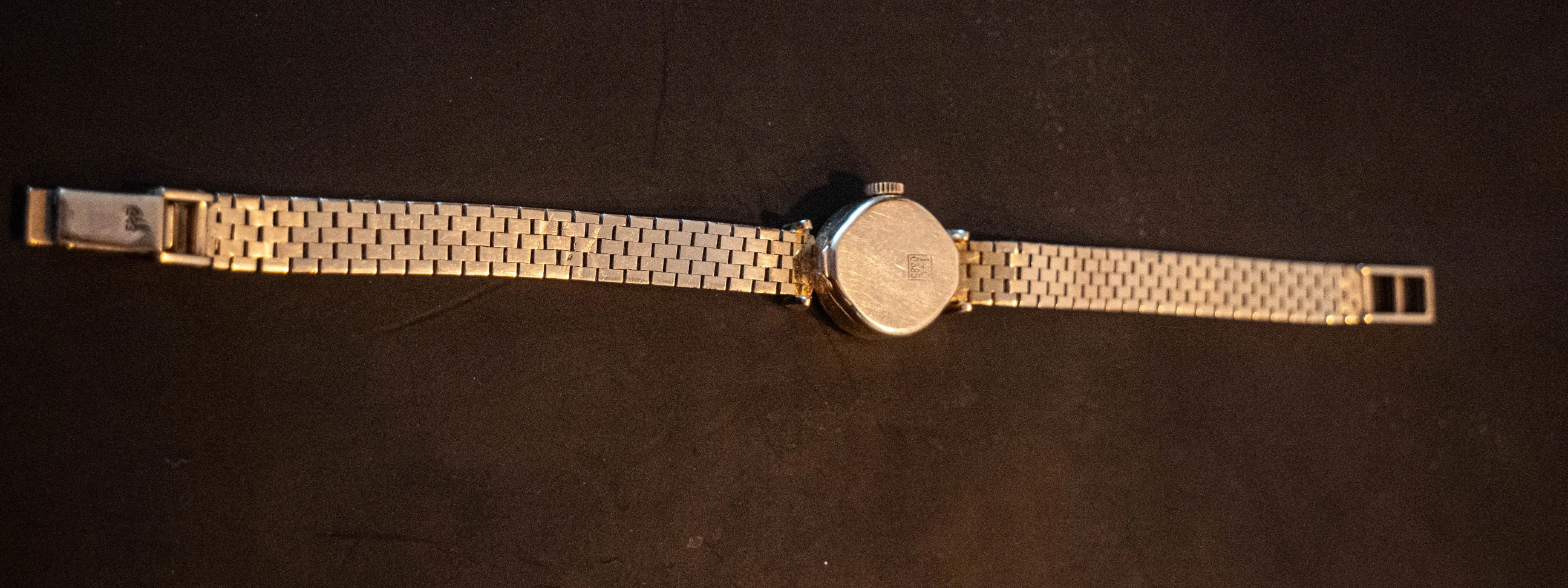 P1099779.jpg