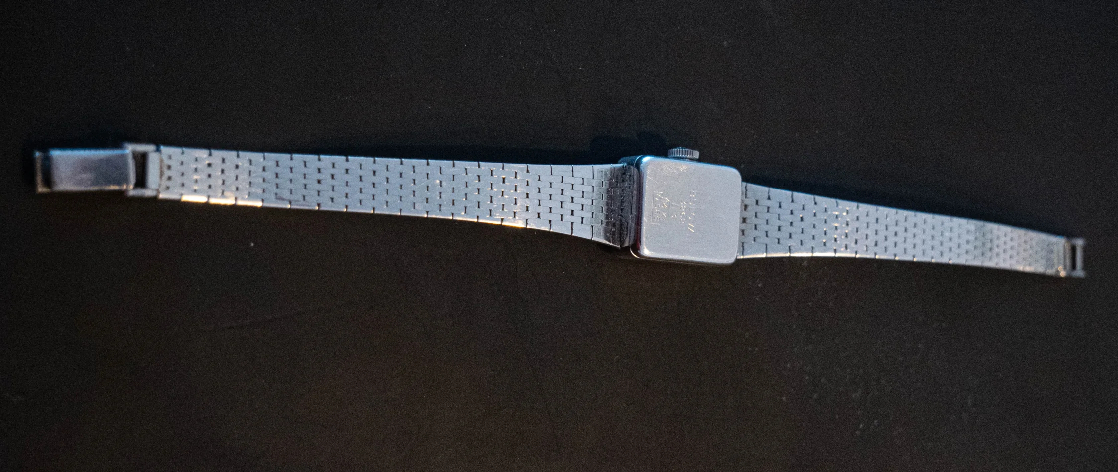 P1099776.jpg