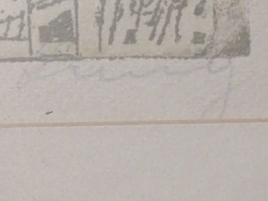 PXL_20240927_192430178.jpg