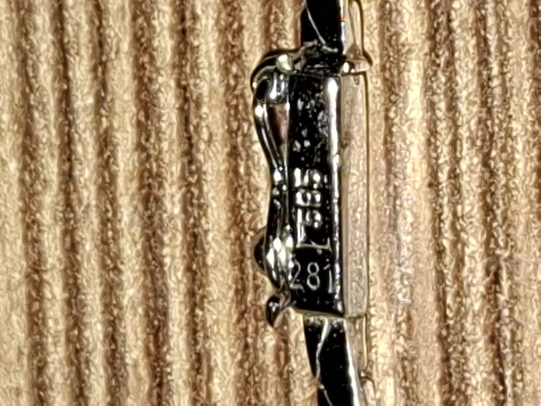 20241026_200347.jpg