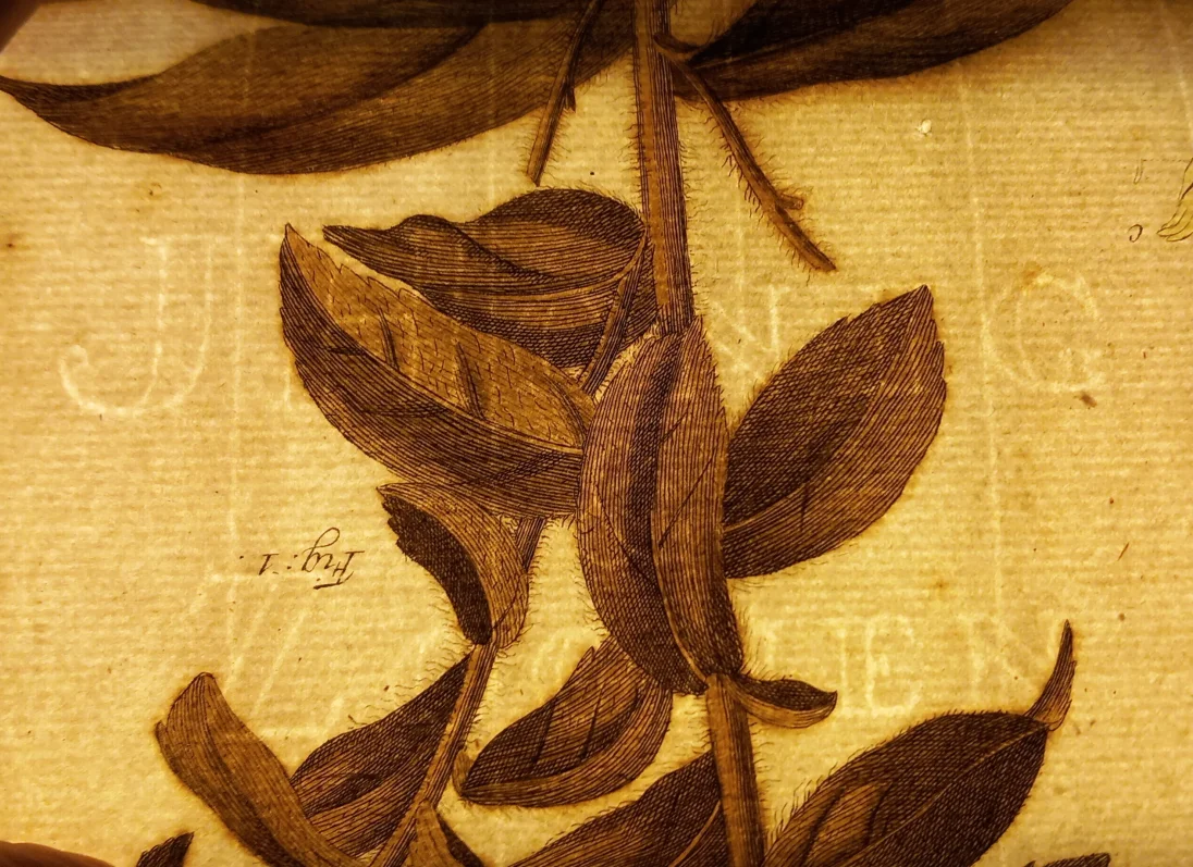 20241101_161158.jpg