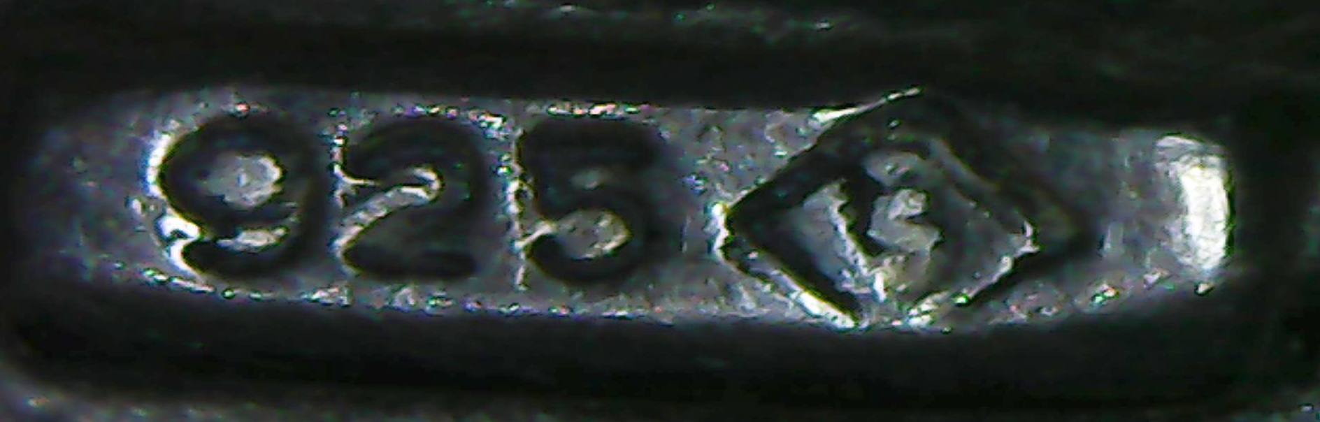 saliere-p2.jpg