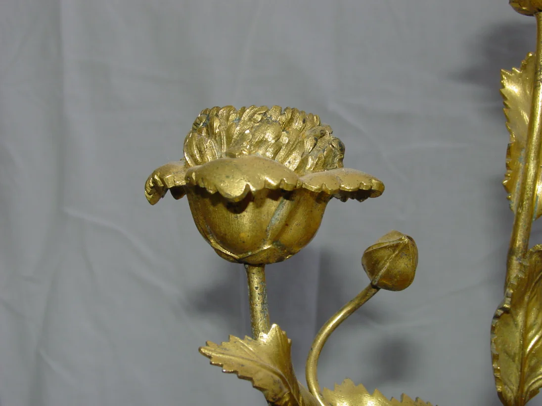 DSC01333.JPG