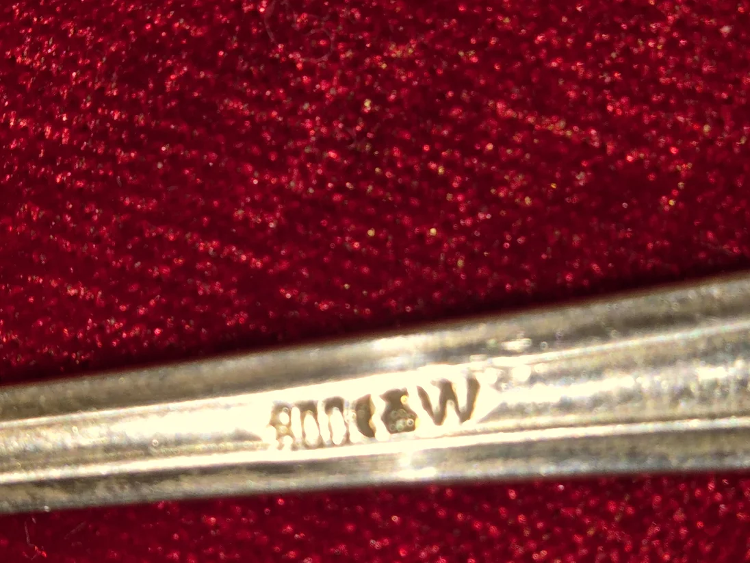 20241202_165122.jpg