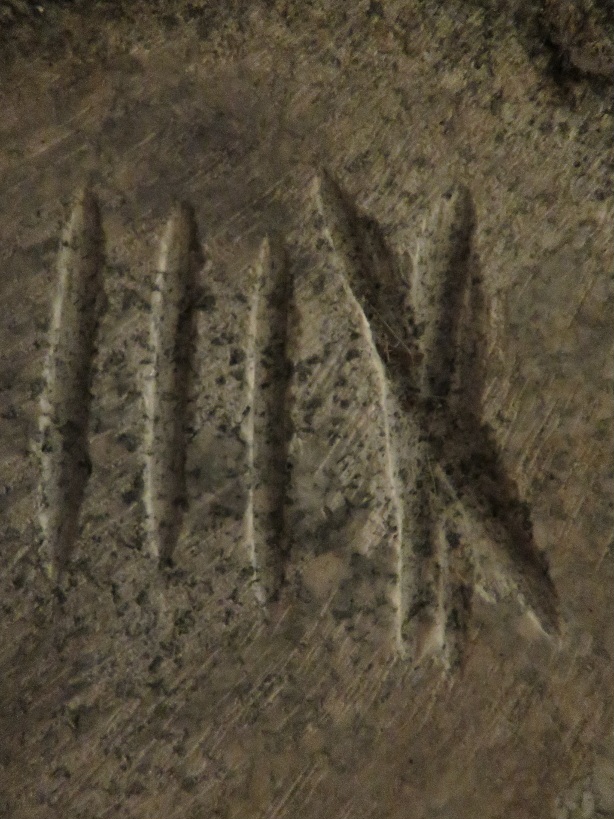 20241228125045.JPG