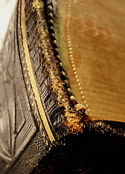 Bibel Rand klein.jpg