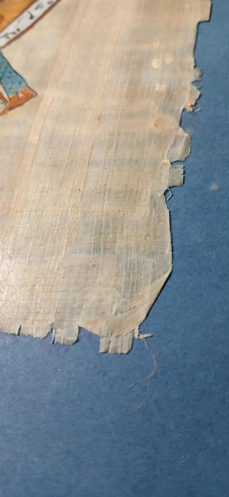 papyrus3.jpg