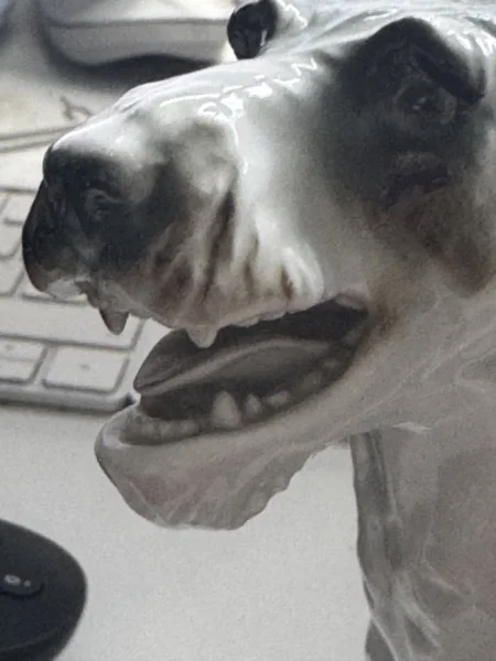 IMG_3265 Groß.jpeg