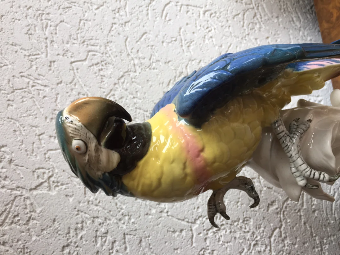 image.jpeg