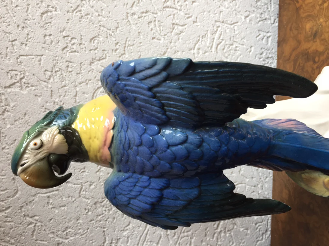 image.jpeg