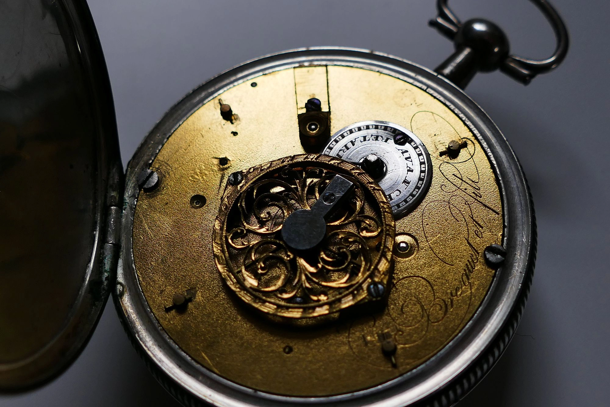 P1380789n.webp