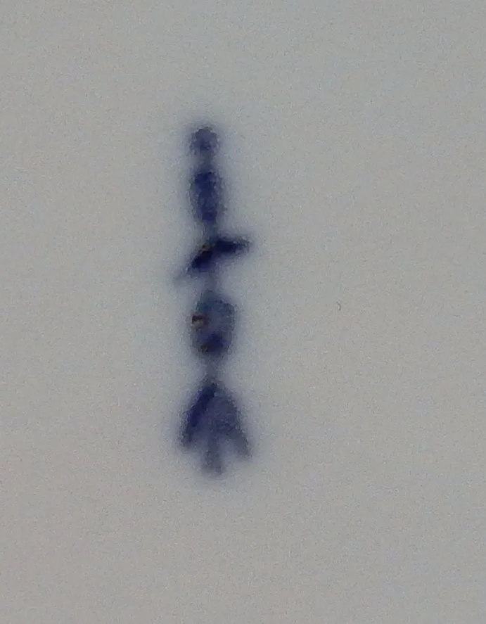 DSCN9316.webp