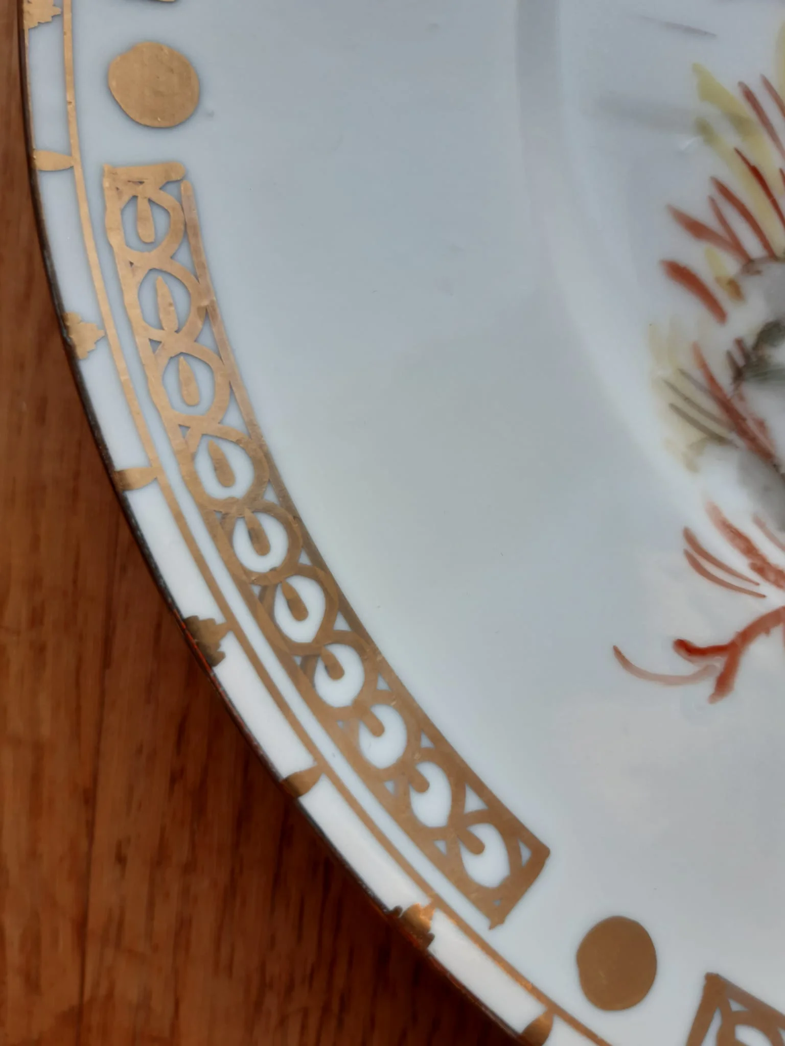 WhatsApp Bild 2025-03-29 um 18.15.41_1295ff00.webp