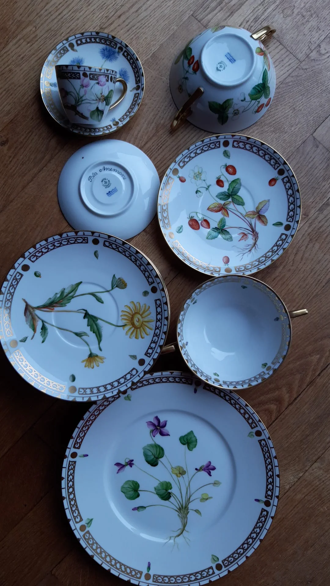 WhatsApp Bild 2025-03-30 um 10.05.59_ac2b9928.webp