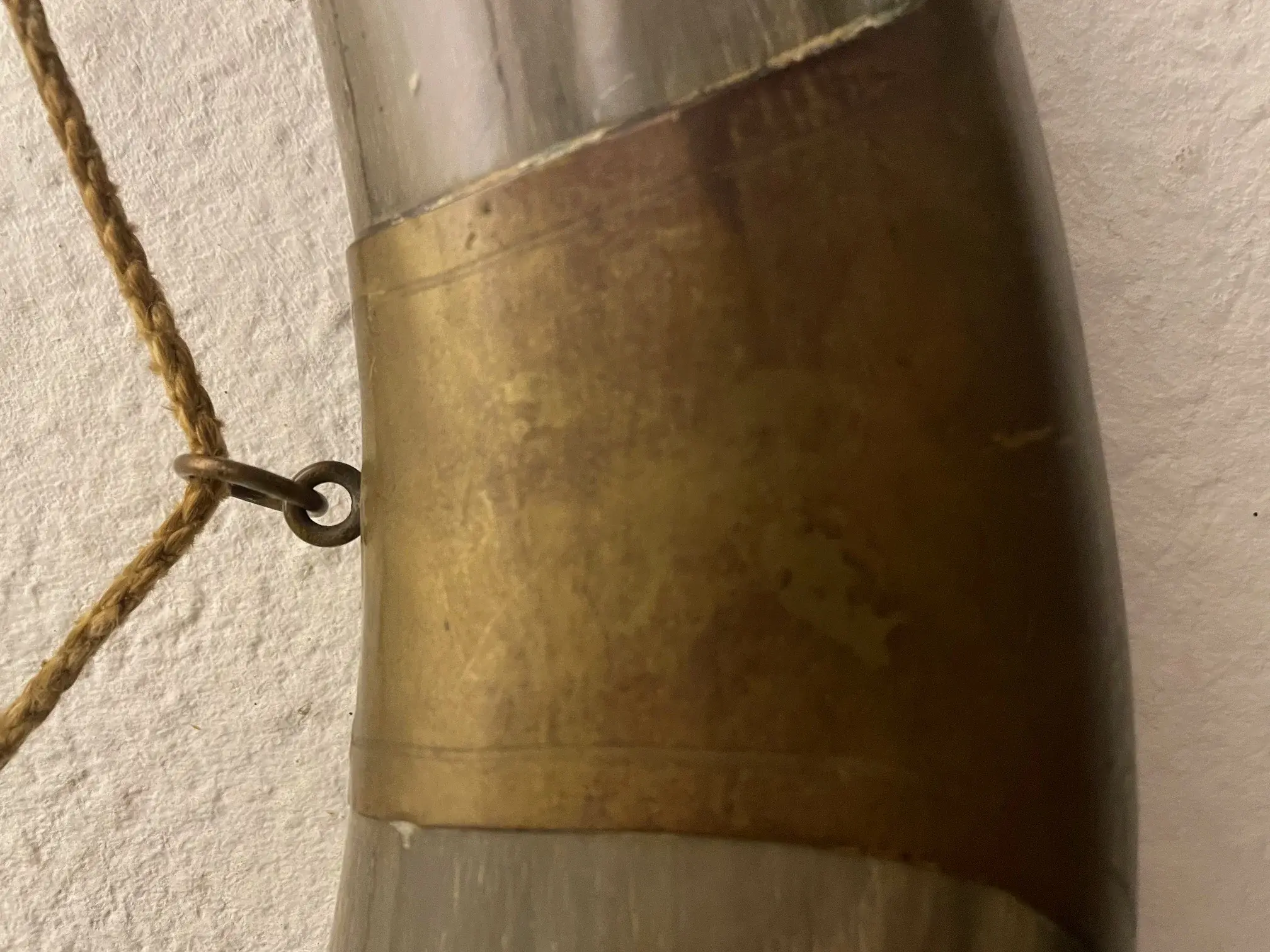 horn5.jpeg.webp