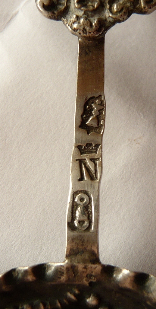 P1060734 (518x1024).jpg