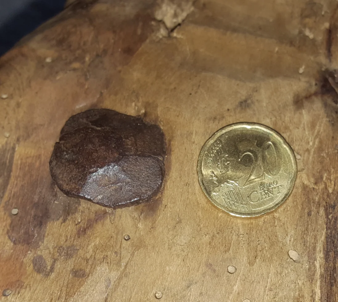 20170915_172026.jpg