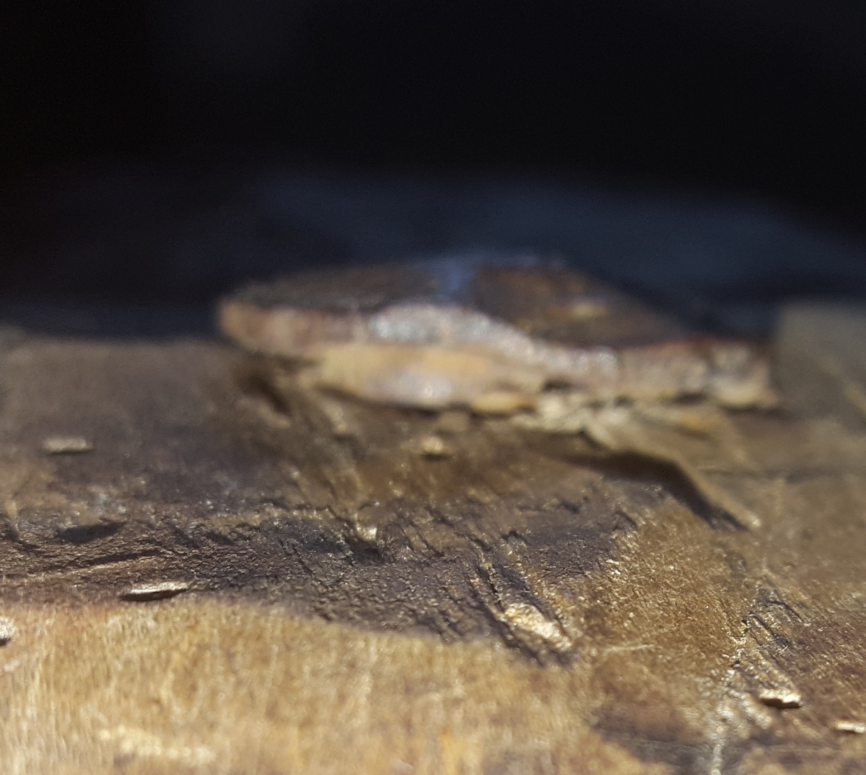 20170915_172103.jpg
