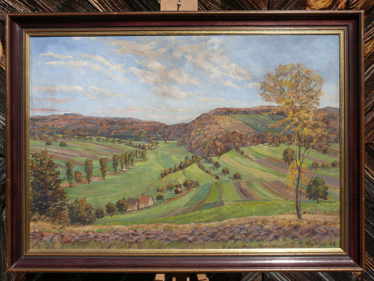 mayer schoellkopf 028.JPG