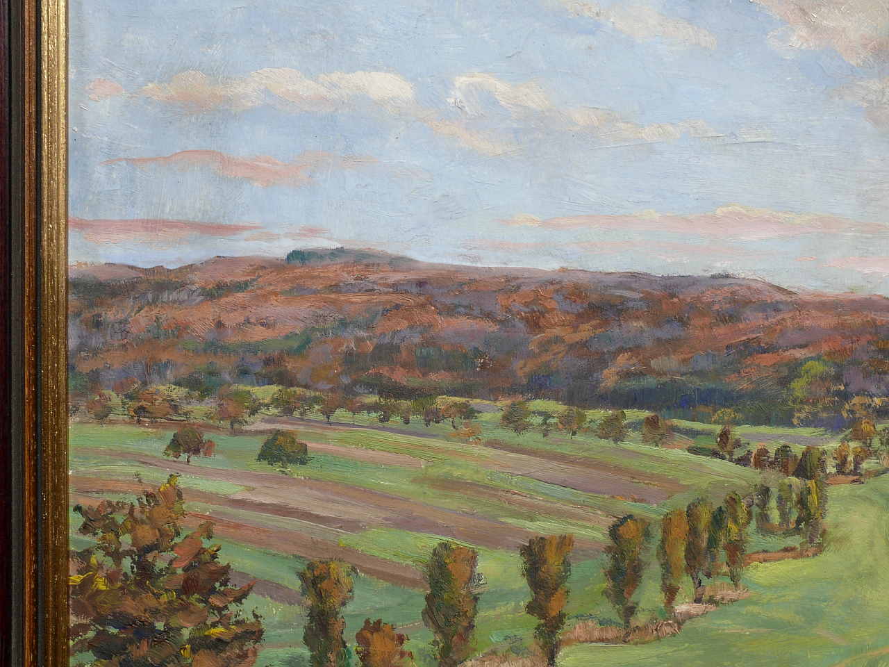 mayer schoellkopf 029.JPG