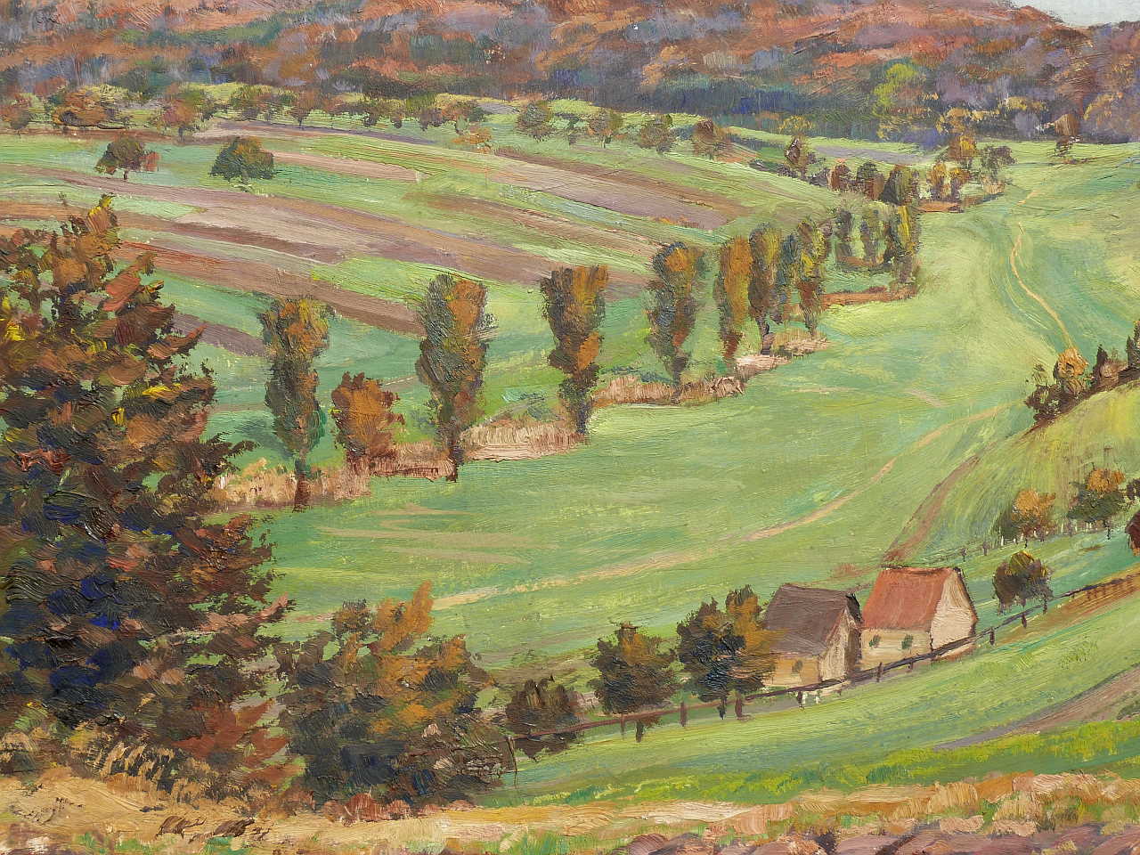 mayer schoellkopf 030.JPG