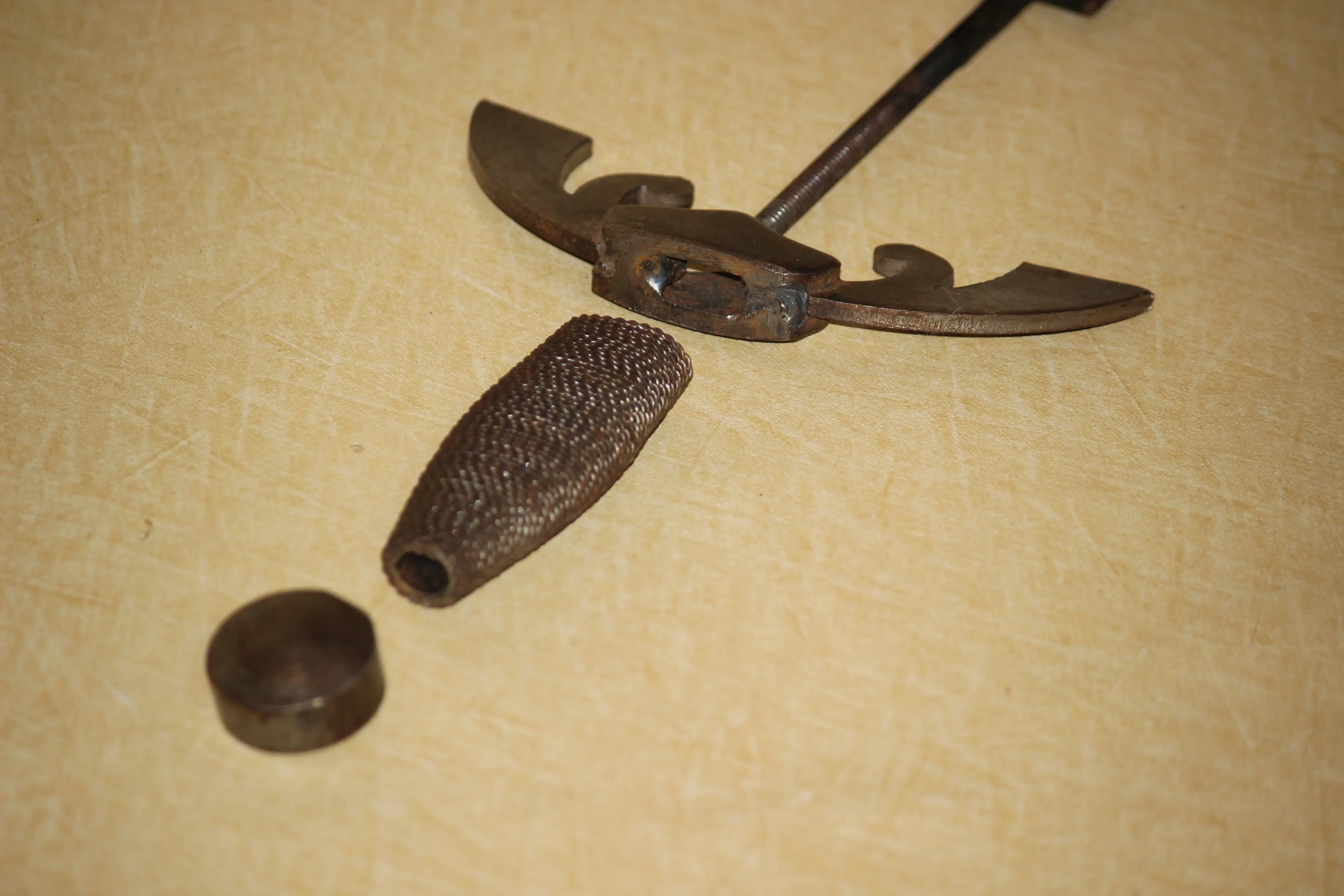 2025-03-26_17-24-48_-_Canon EOS 600D.webp