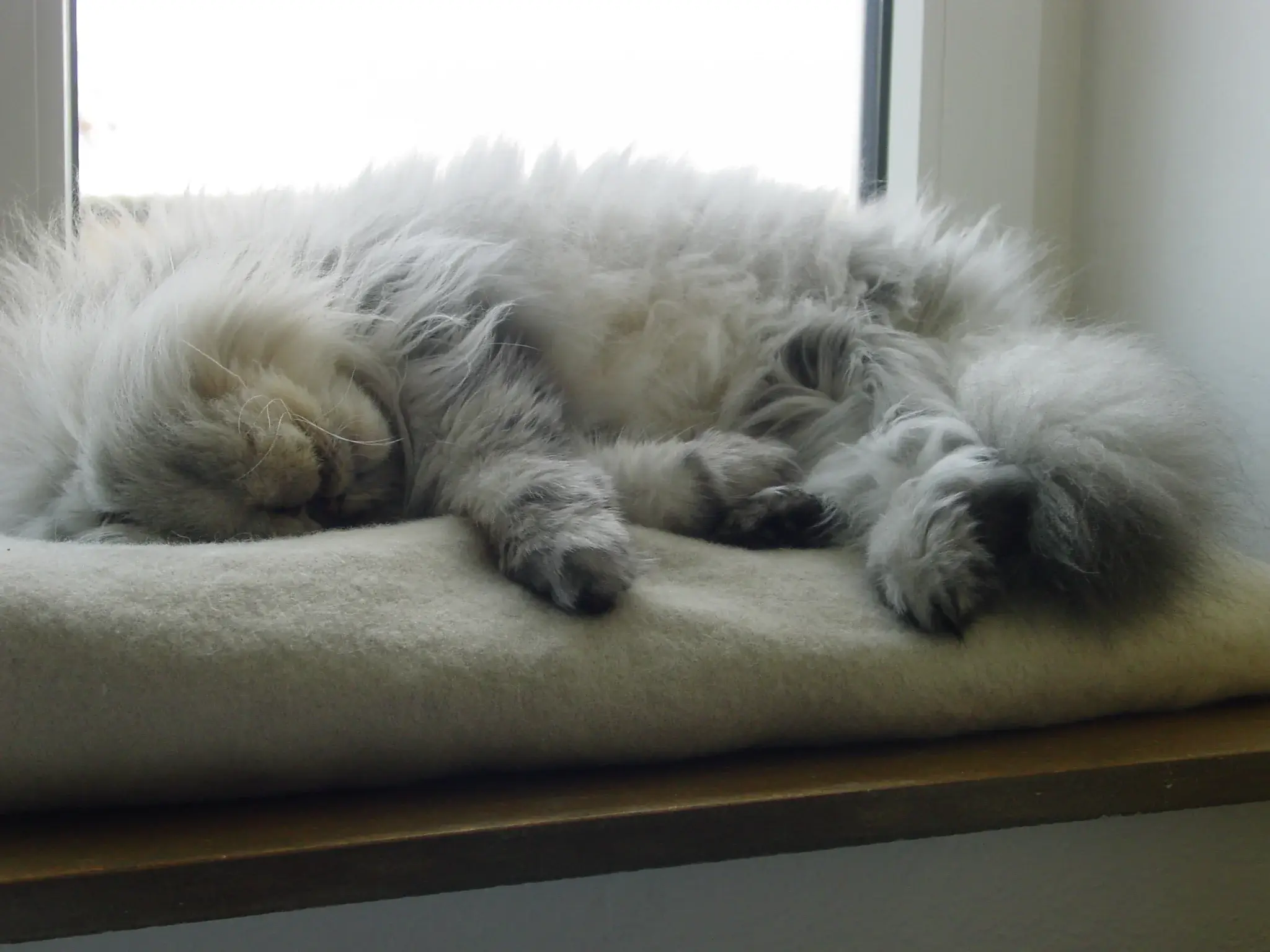 DSC01286.webp