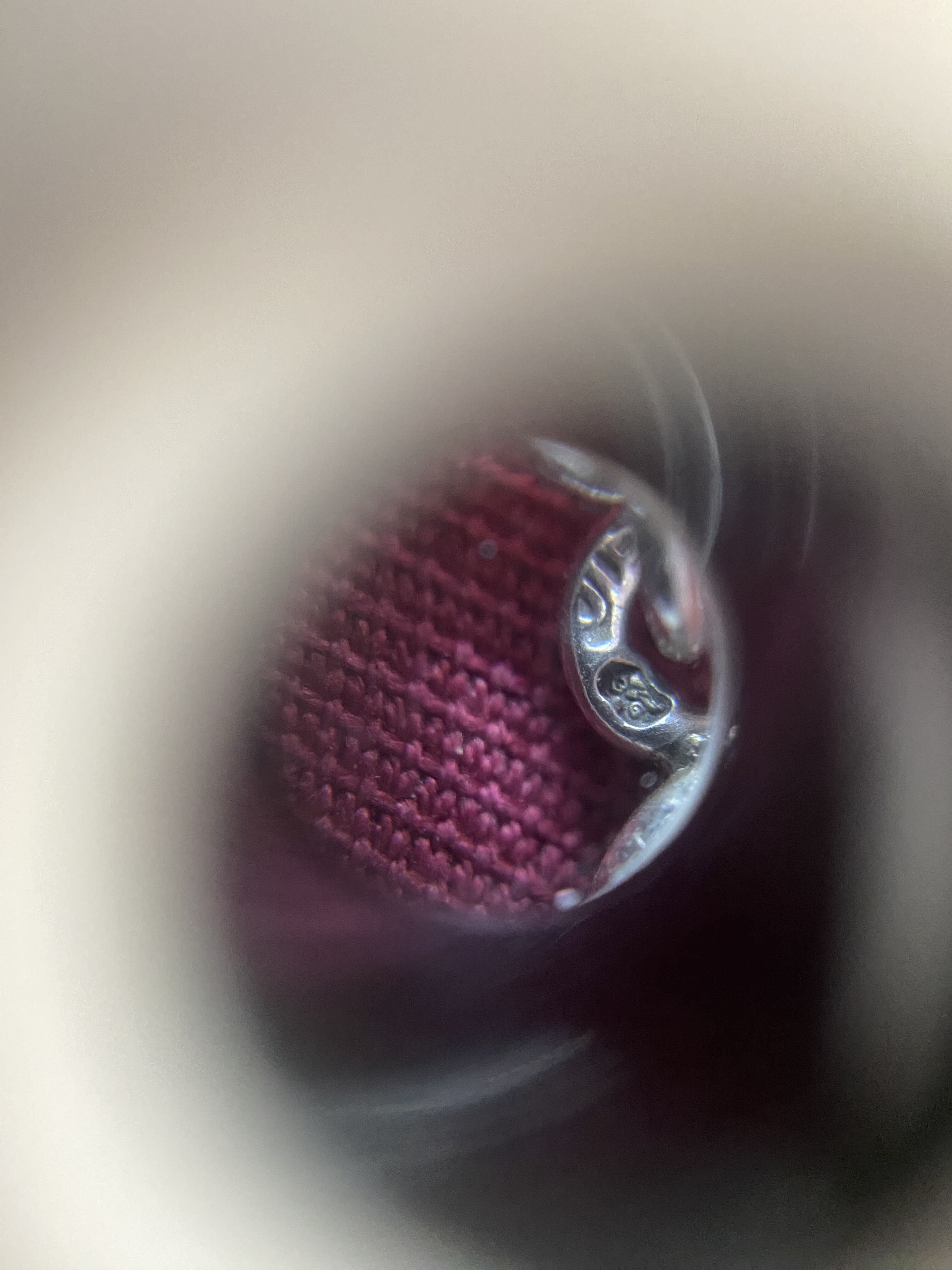 IMG_2422.jpeg