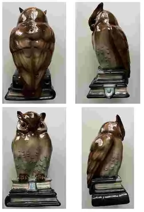 Eule vier Ansichten.webp