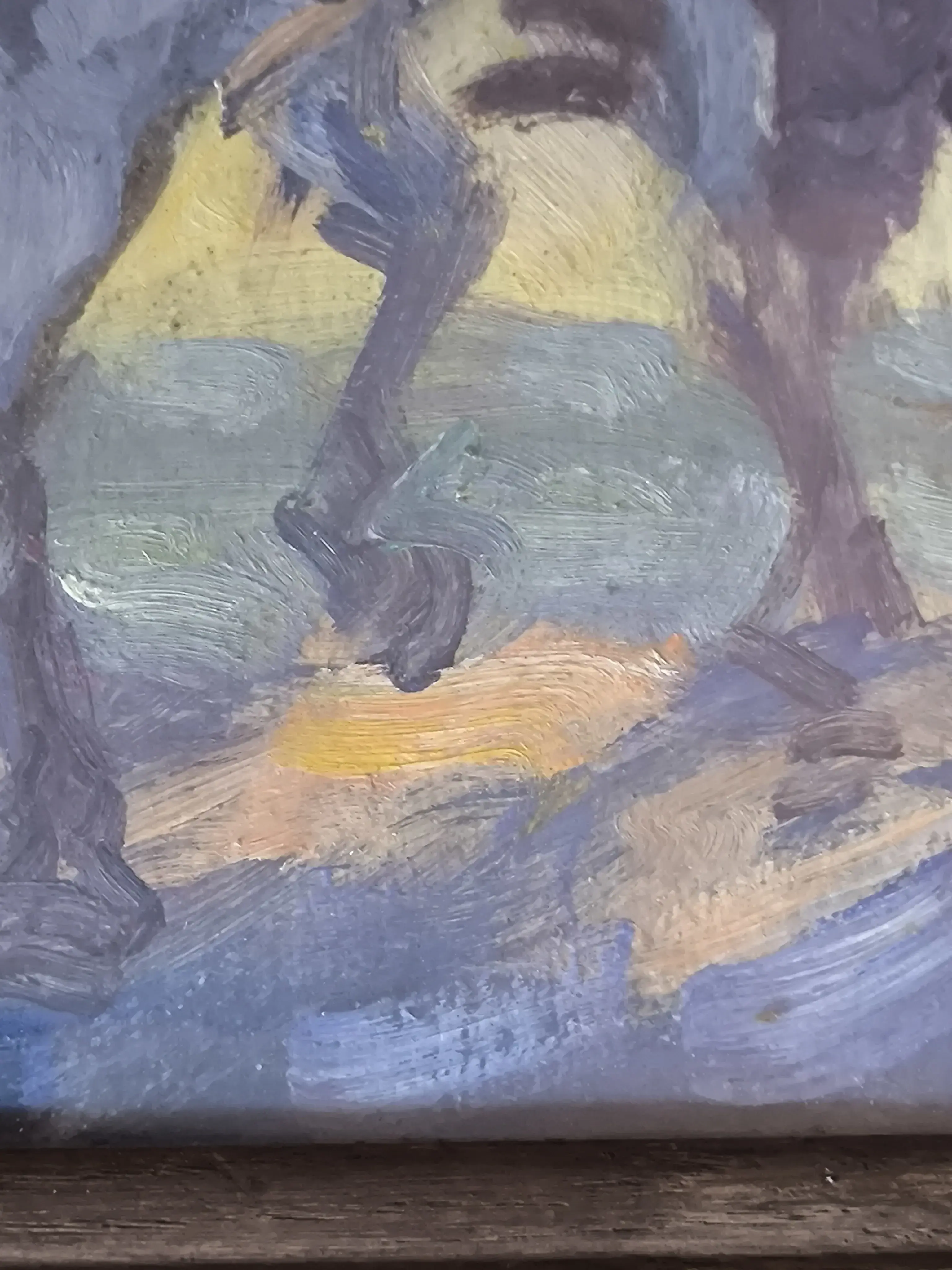 Hier glaubt meine Frau etwas unter dem gehobenen Huf zu erkennen