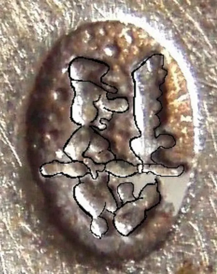 Loeldetail - Kopie.webp