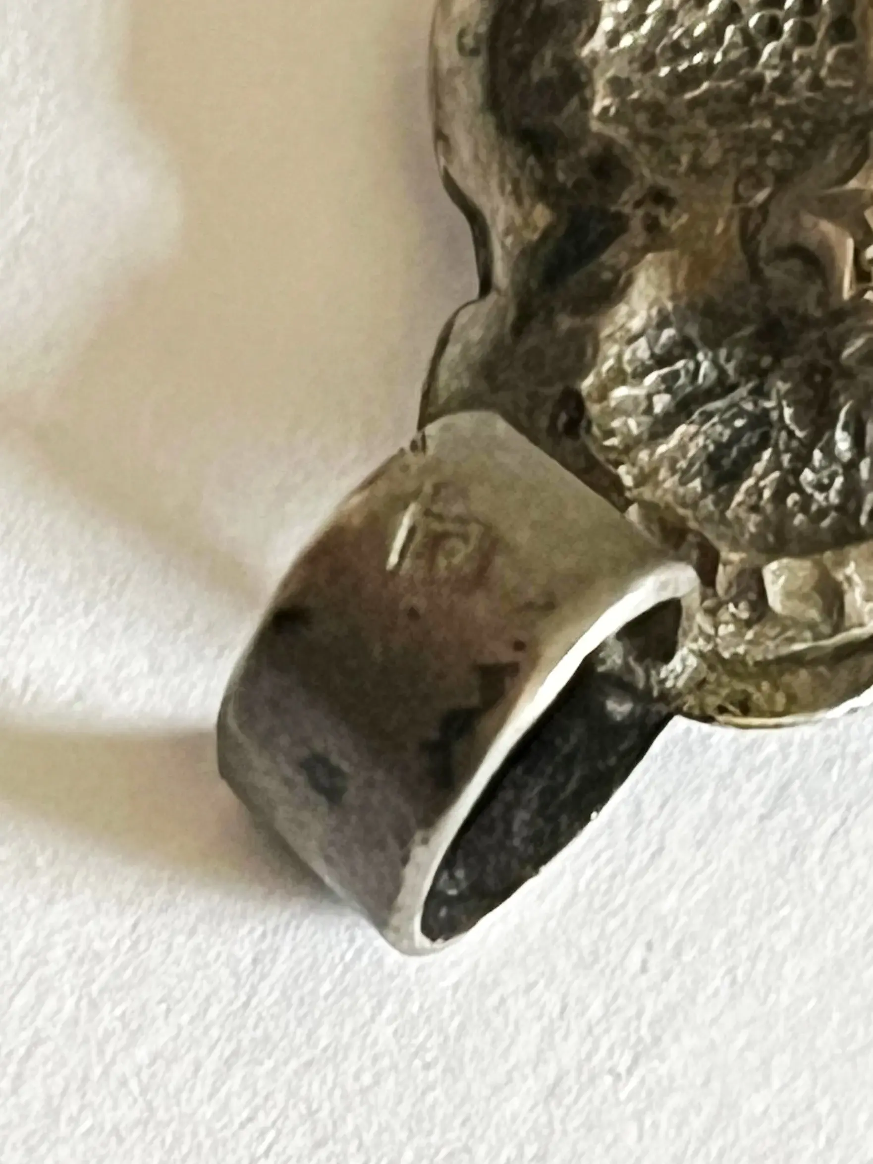 WhatsApp Image 2026-02-12 at 12.51.28 4-Exposure.webp