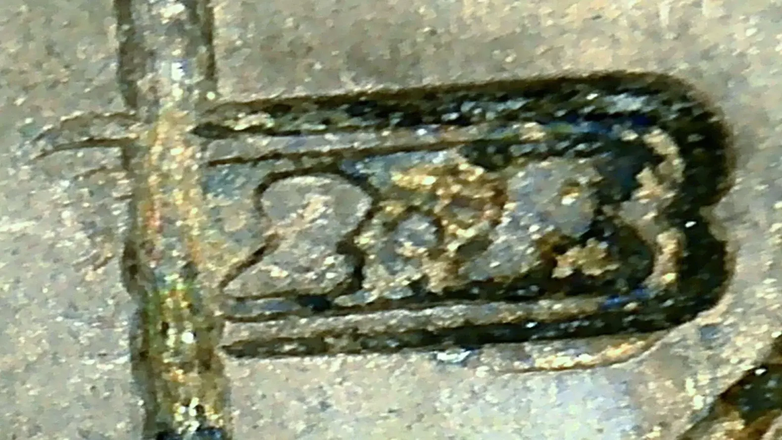 WhatsApp Image 2026-02-11 at 15.55.27 6-Exposure.webp