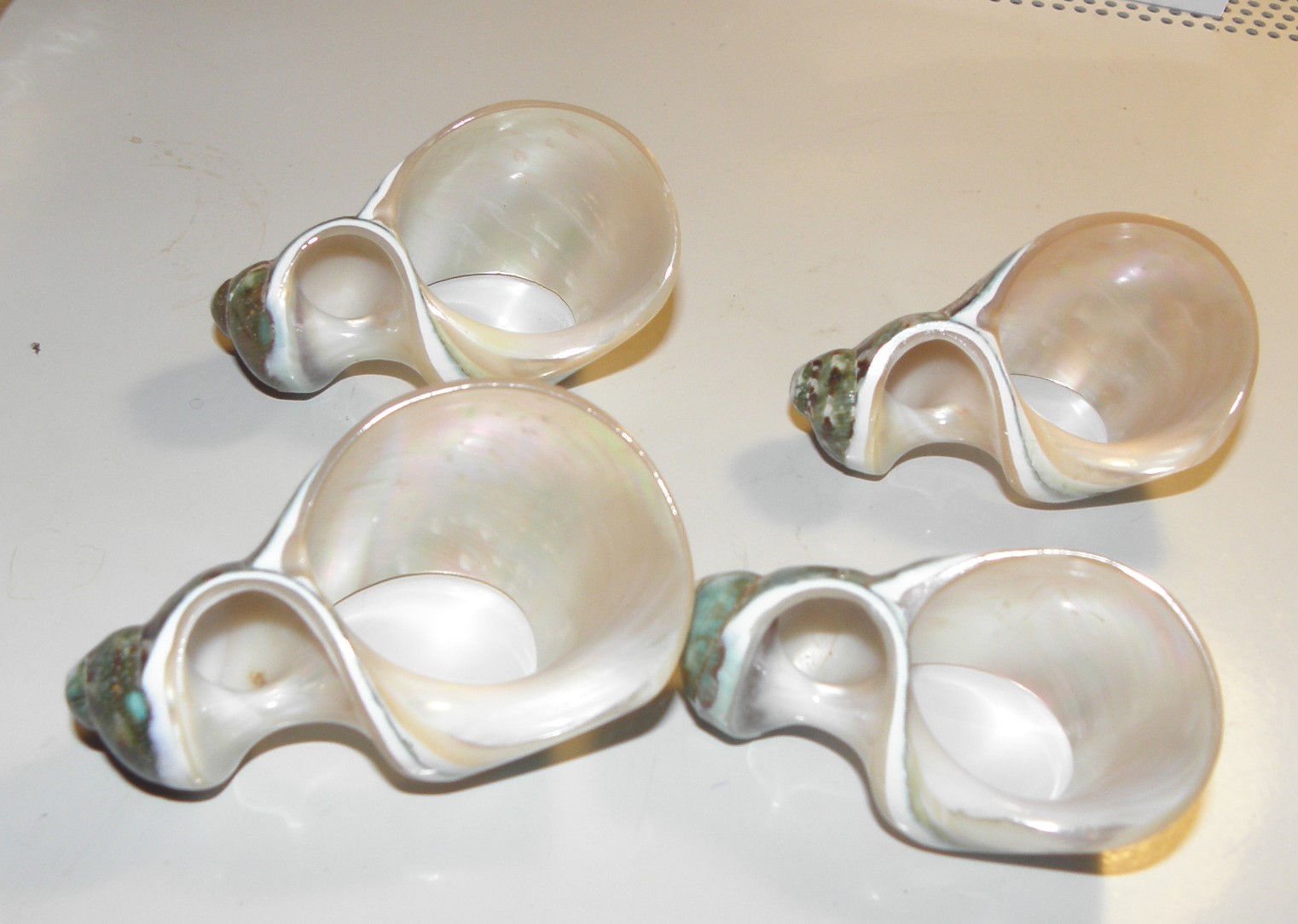 PB224149.JPG