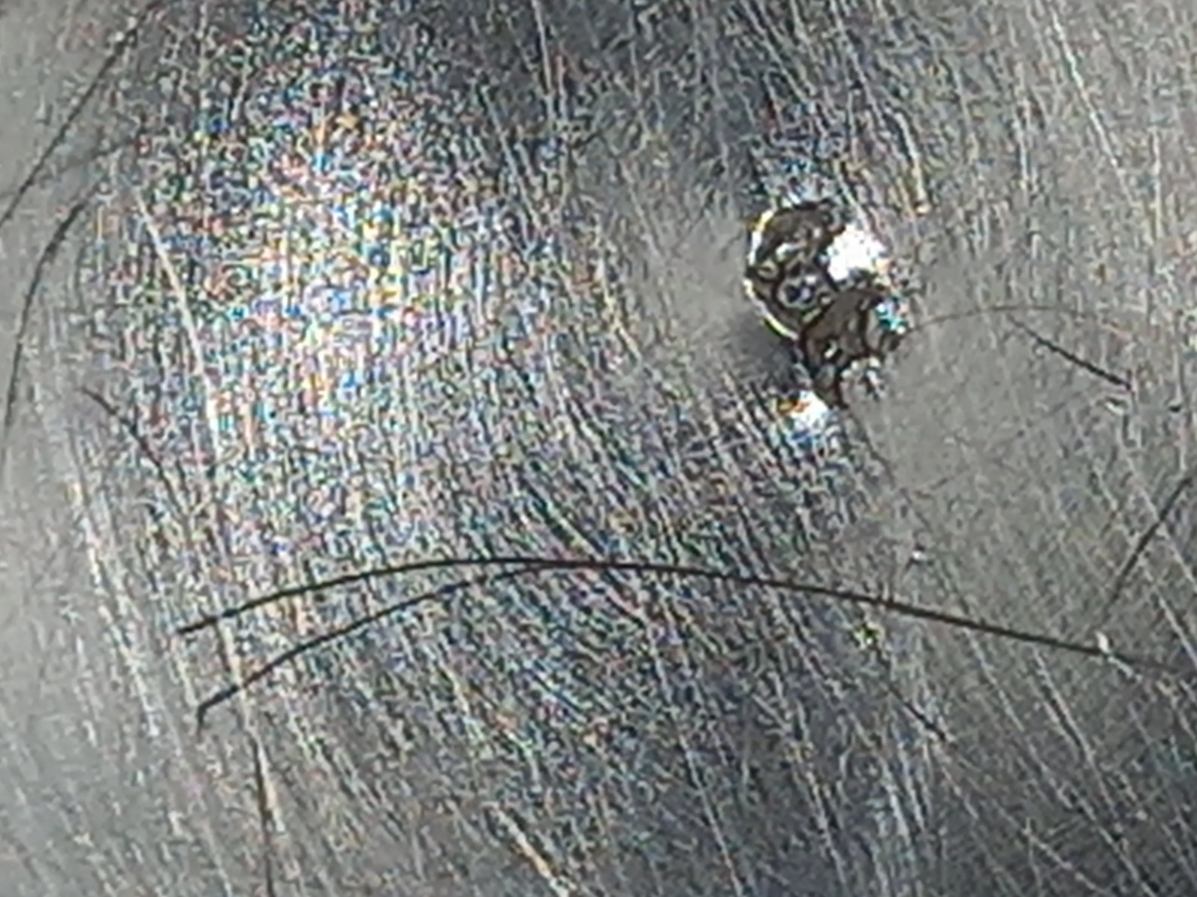 Foto Punze Boden in der Fotobox