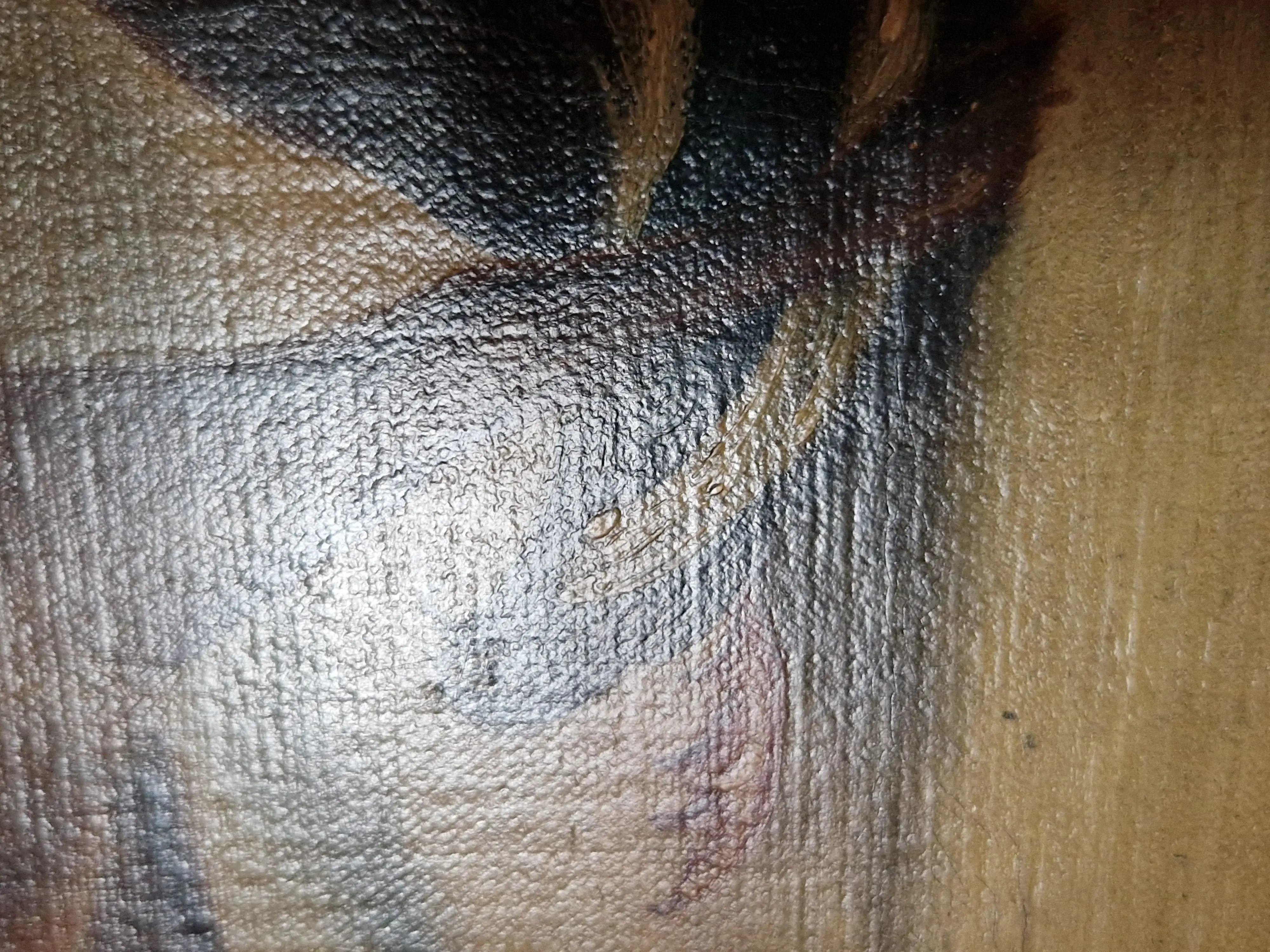 Das Gefieder zeigt ebenfalls Pinselstriche meines Erachtens.