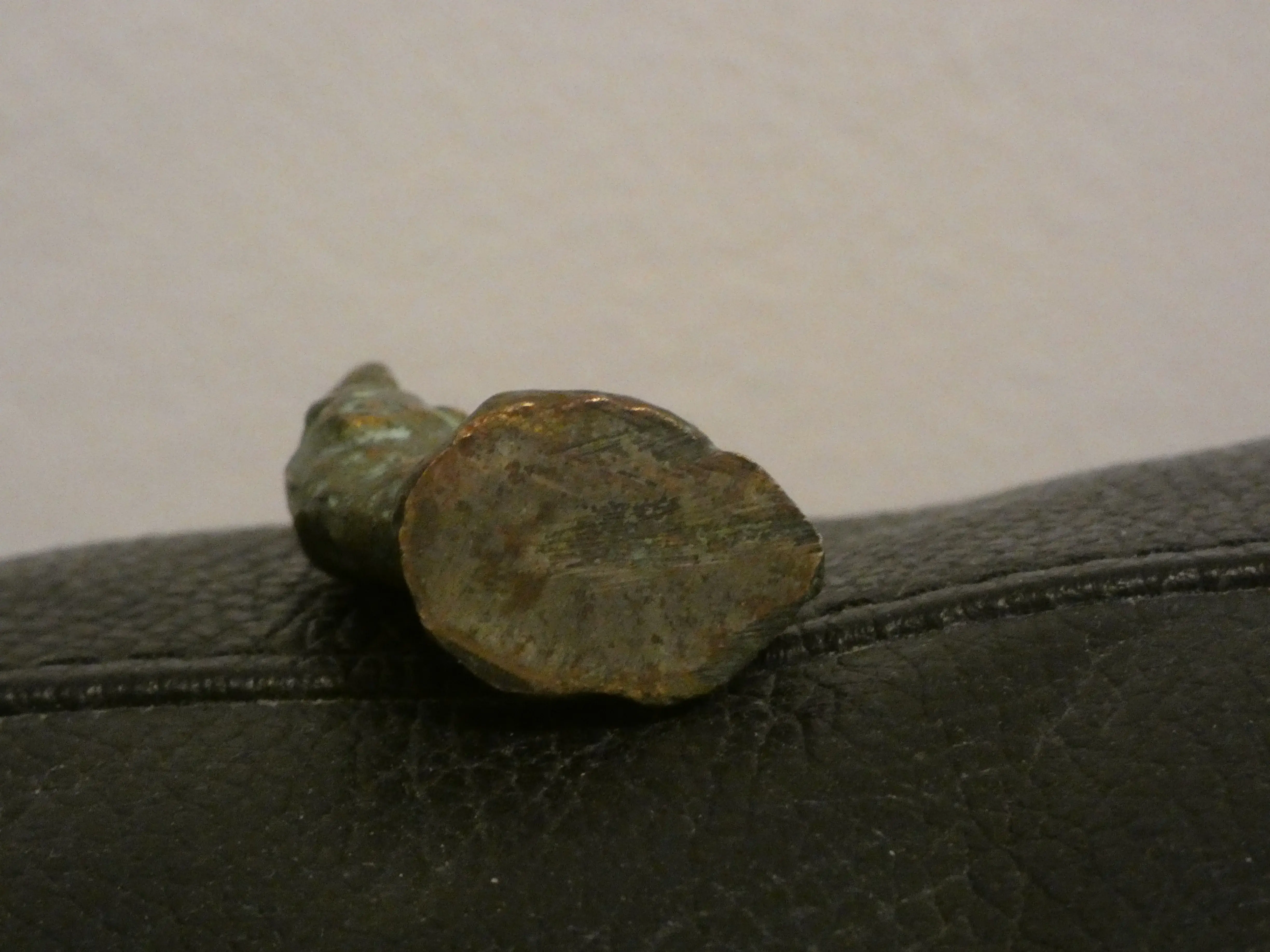 P1050720.webp