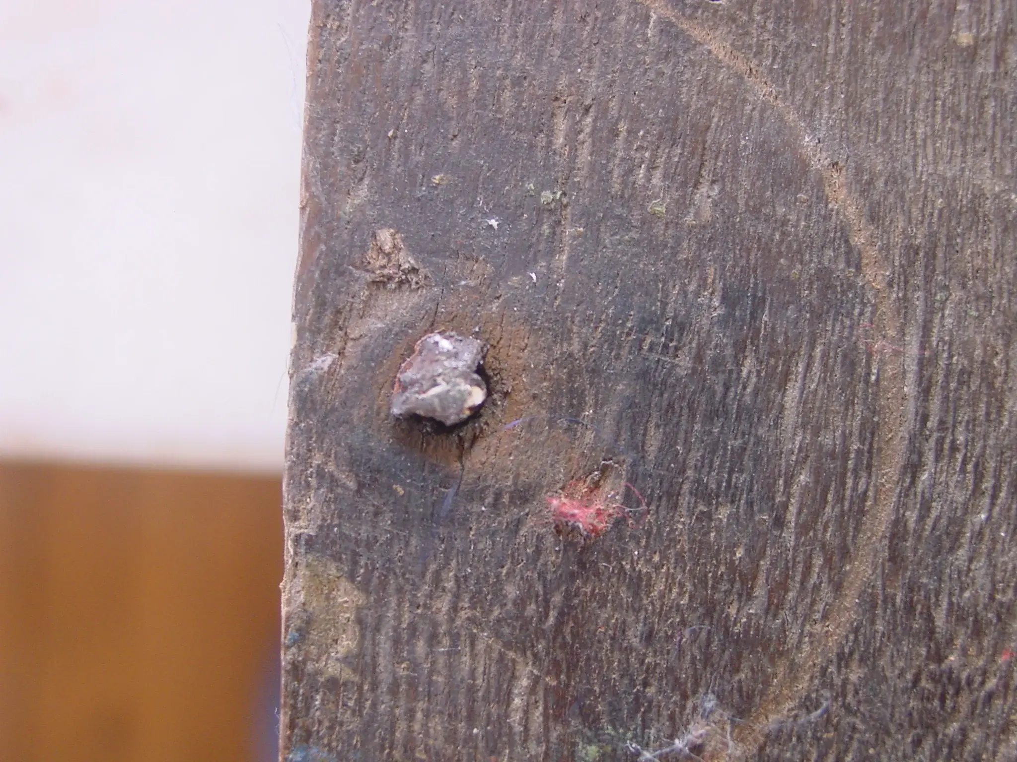 DSC03245.webp