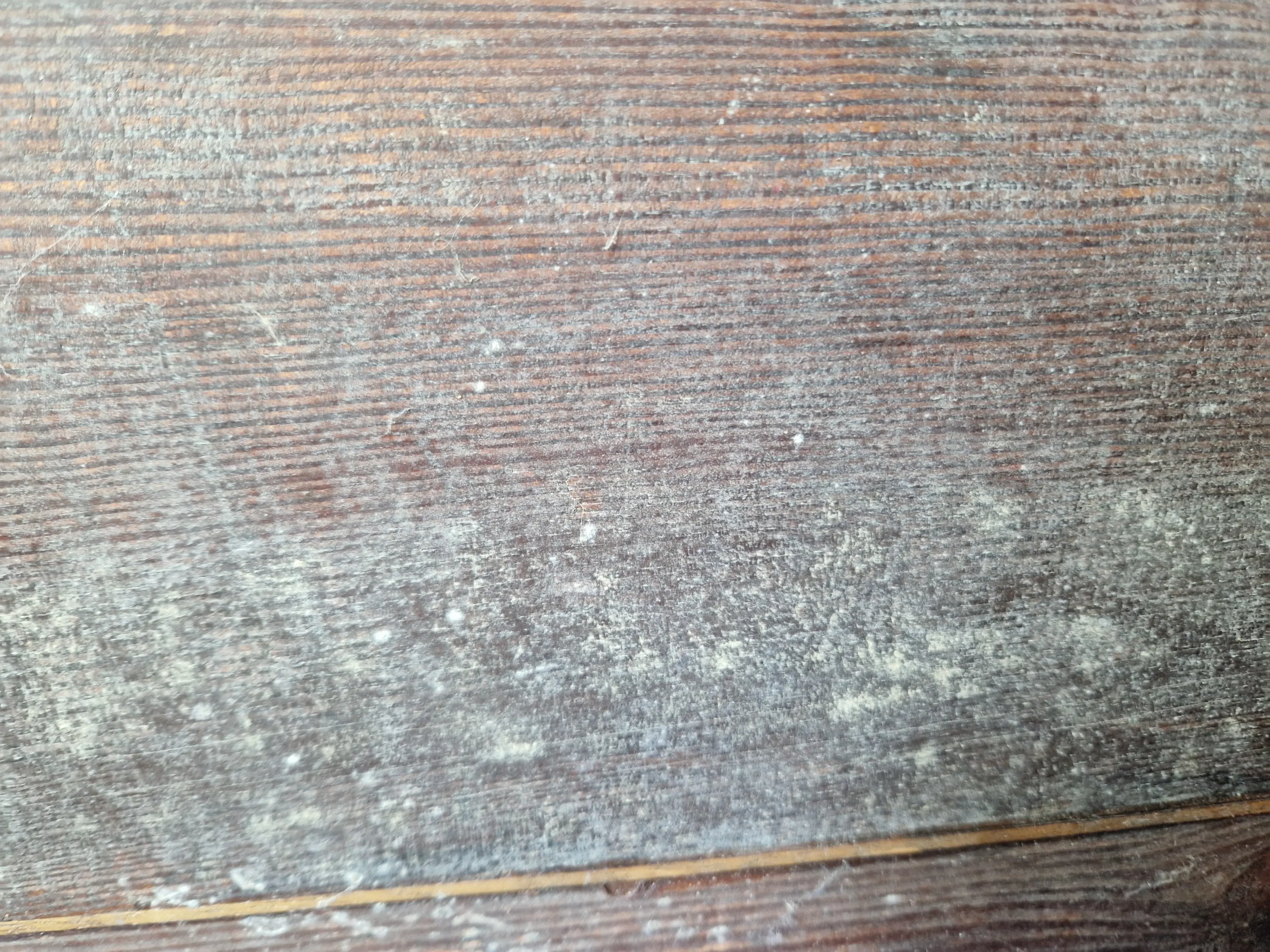 Detail Unterseite
