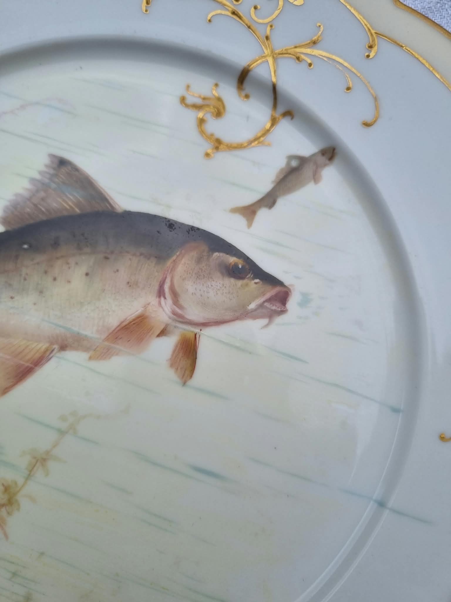 "Flecken" am Übergang Rücken zumWasser. Ähnliches gibt es auch an anderen Stellen.