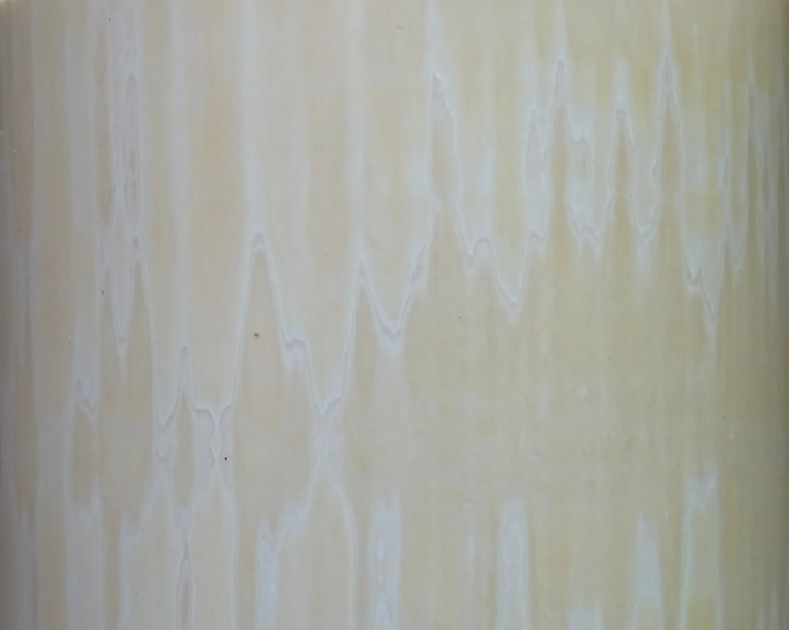 Schmelz - Pulpa (1).webp