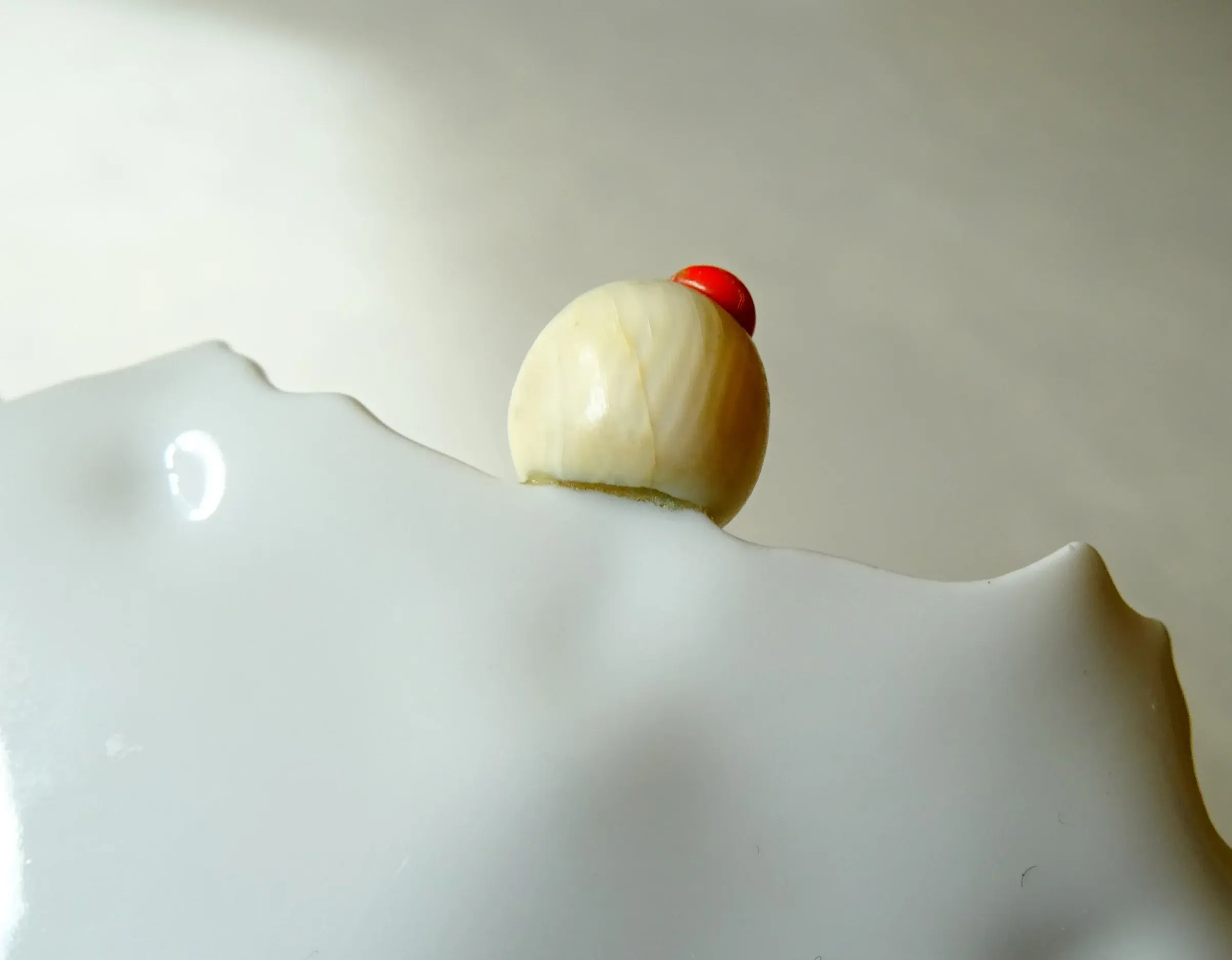 Höchst (5).webp