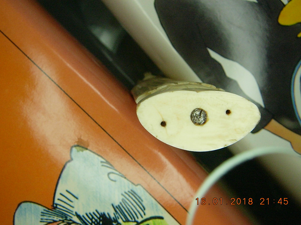 DSCN9724.JPG