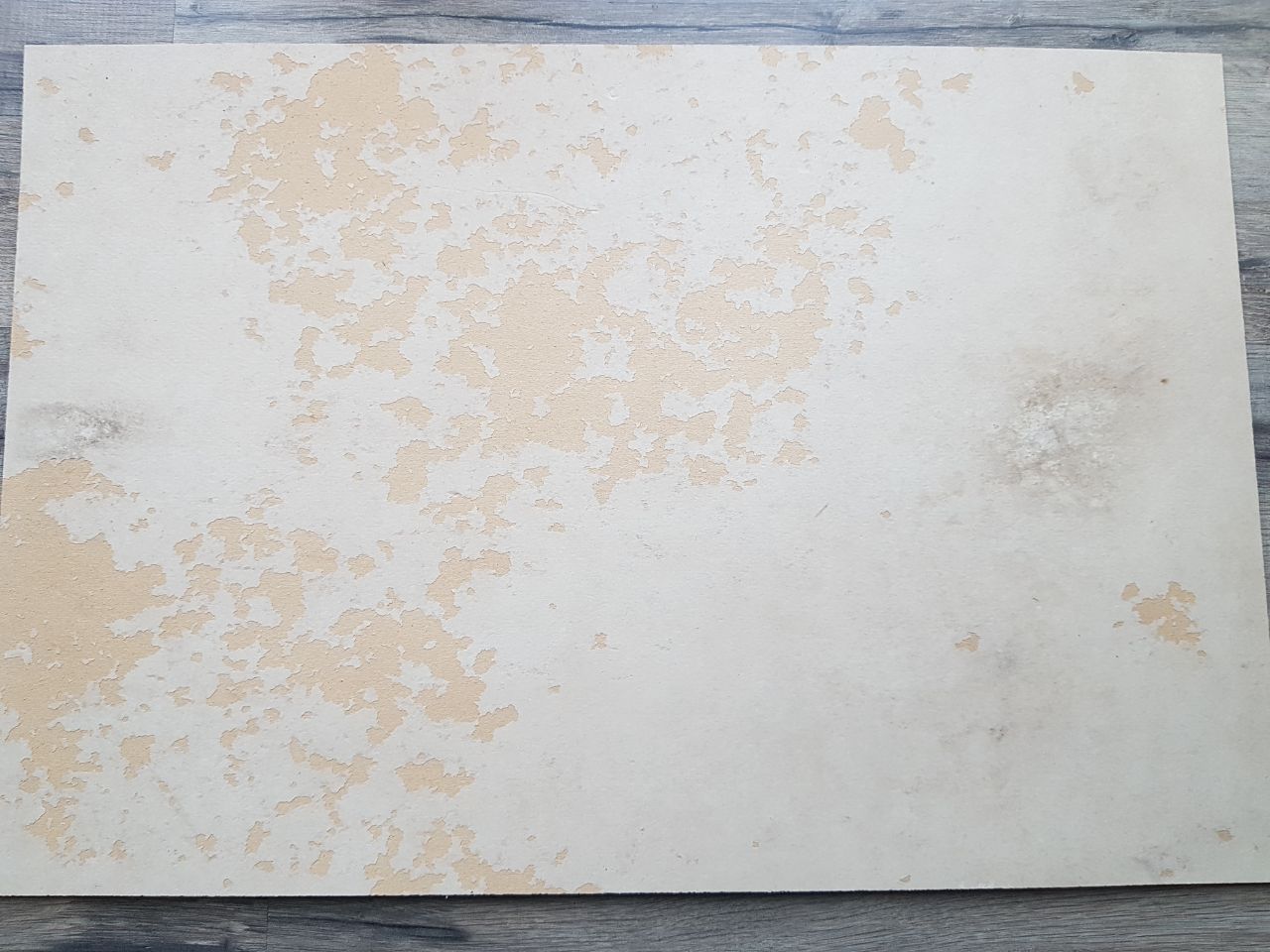 Foto 25.02.18, 16 57 35 (1).jpg