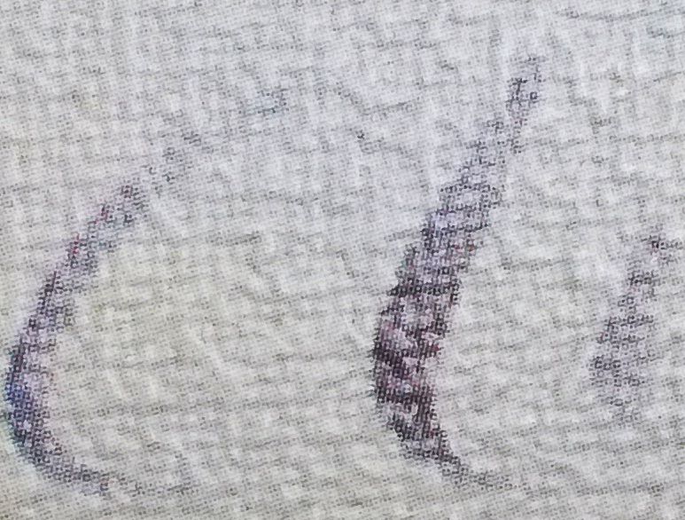 geflügelte Herzen.jpg