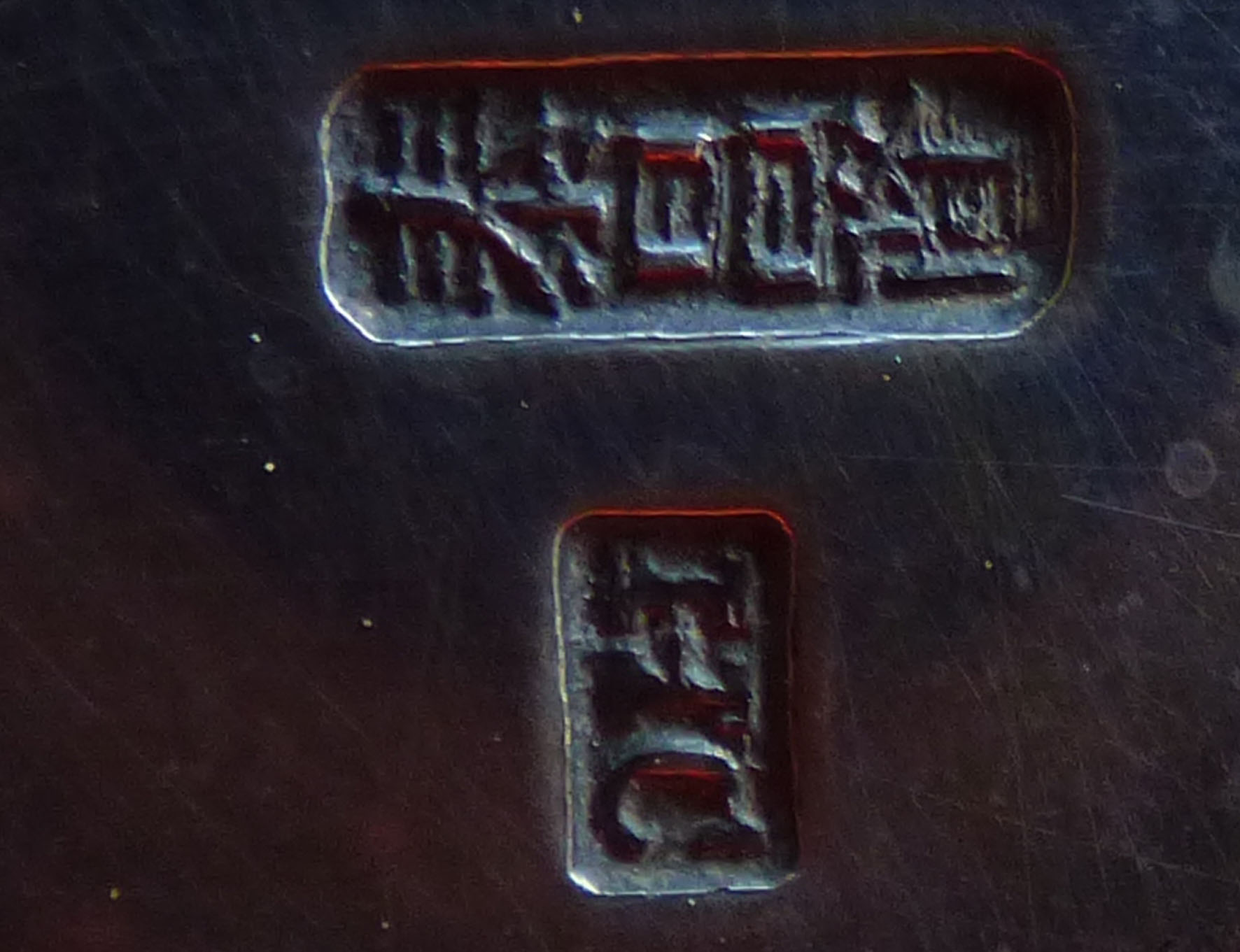 chin Punze5.jpg