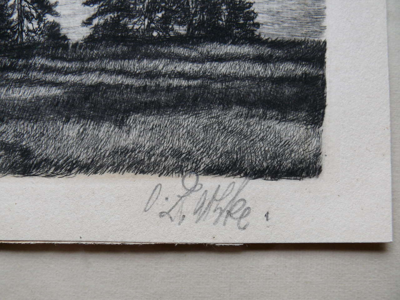 Radierung Nehrung 007.JPG