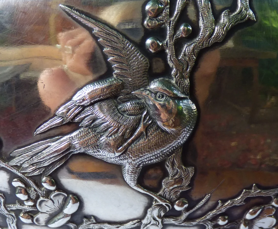 bird scratching.jpg