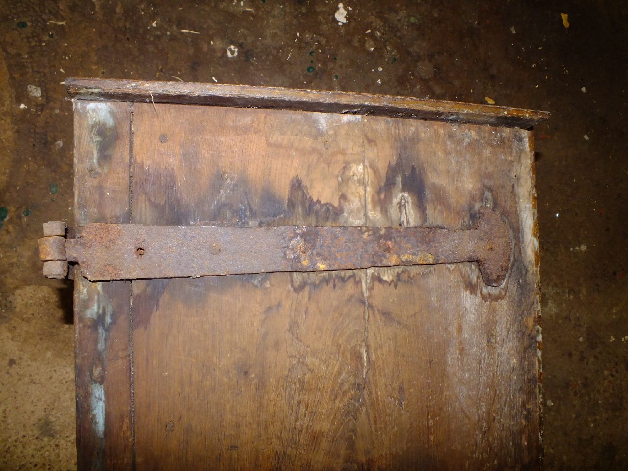 DSCF4793.JPG